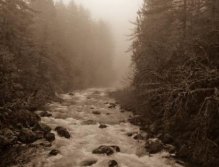 The east fork in Sepia