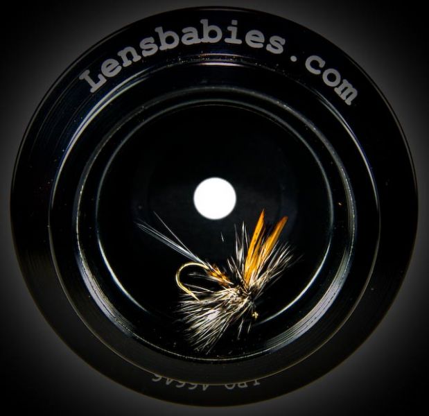 March brown in my lens