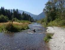 Belá River, Slovakia