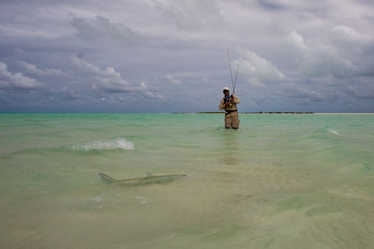 First afternoon bonefish