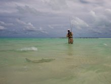 First afternoon bonefish