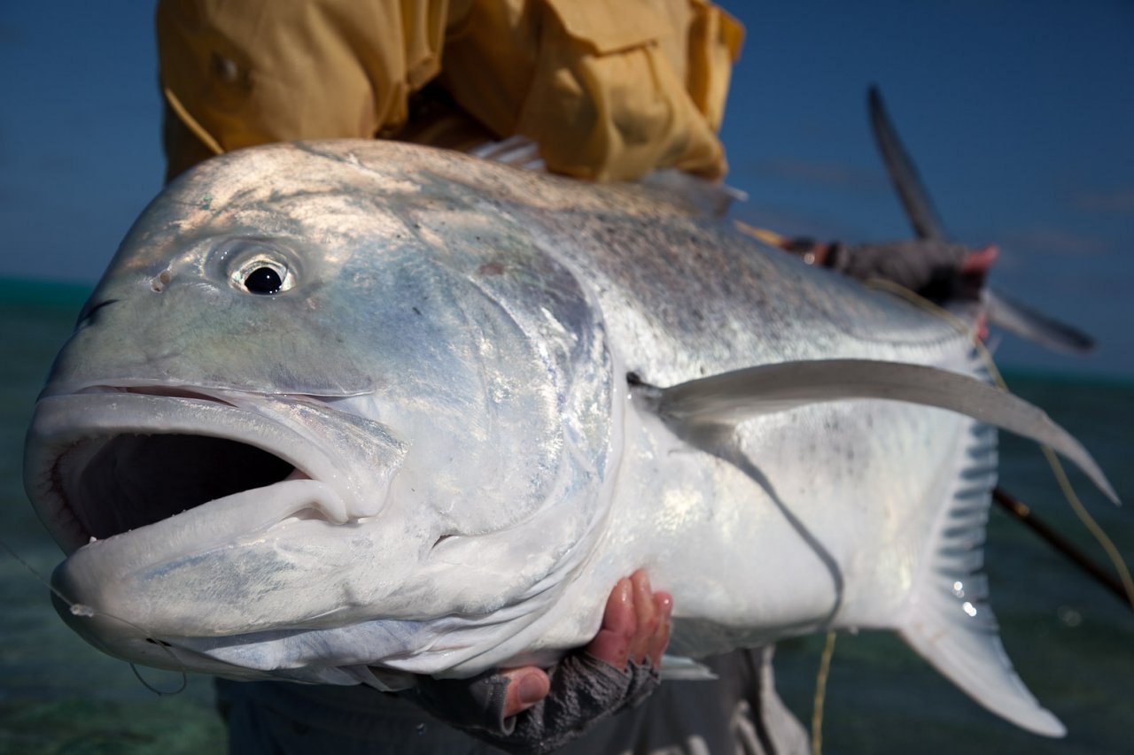 The one that didn�t get away!