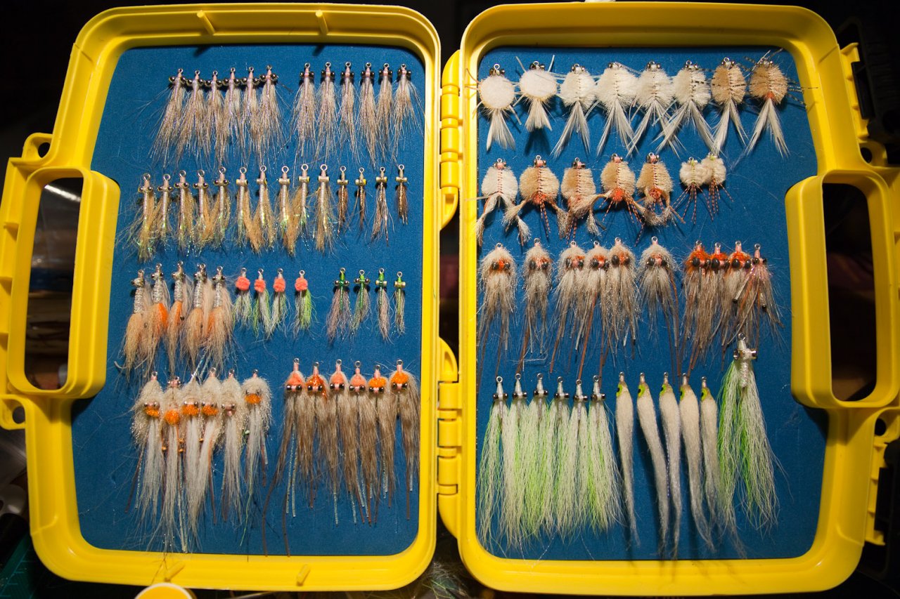 Fly selection