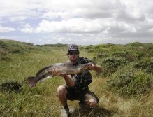 A lovely specimen, which provides superb action