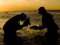 Rise by Confluence Films