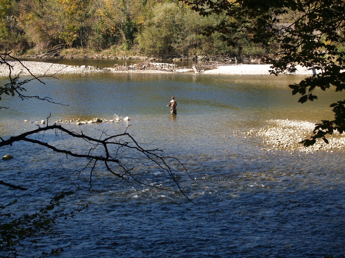 Gmundner Traun in Steyrerm�hl