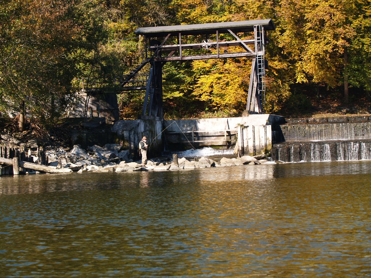 Gmundner Traun in Steyrerm�hl 