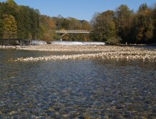 Gmundner Traun in Steyrermühl