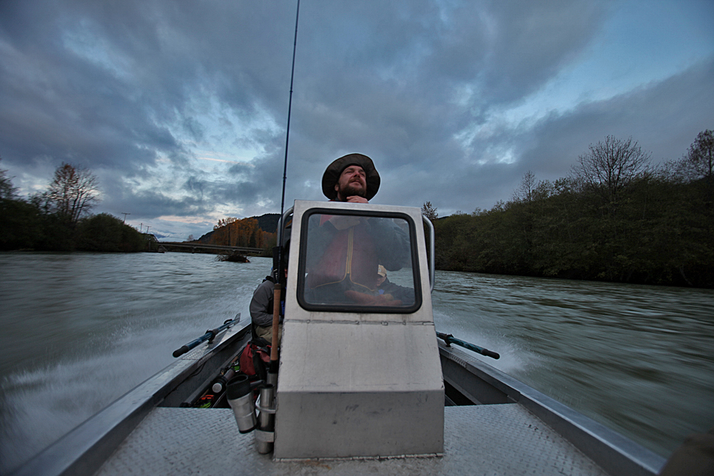 Early Morning Horse Power