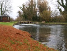 Pool under the weir