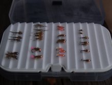 Tested tungsten nymphs