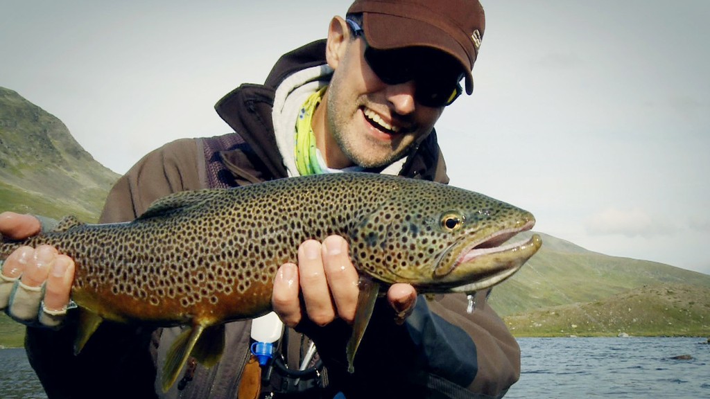 Nice Brown trout from a lake in Lapland Sweden