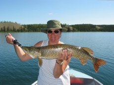 Pike fly fishing - more pictures