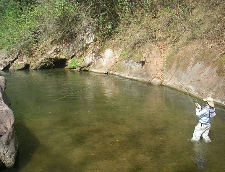 Adrenalin rush begins