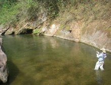 Adrenalin rush begins