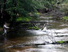 In the Midst of the Crowd