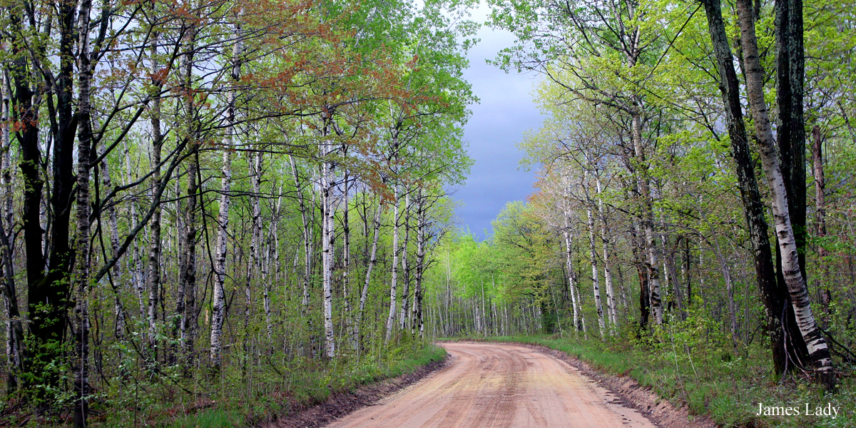 Awaiting Rain on the Sunset Trail