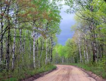 Awaiting Rain on the Sunset Trail