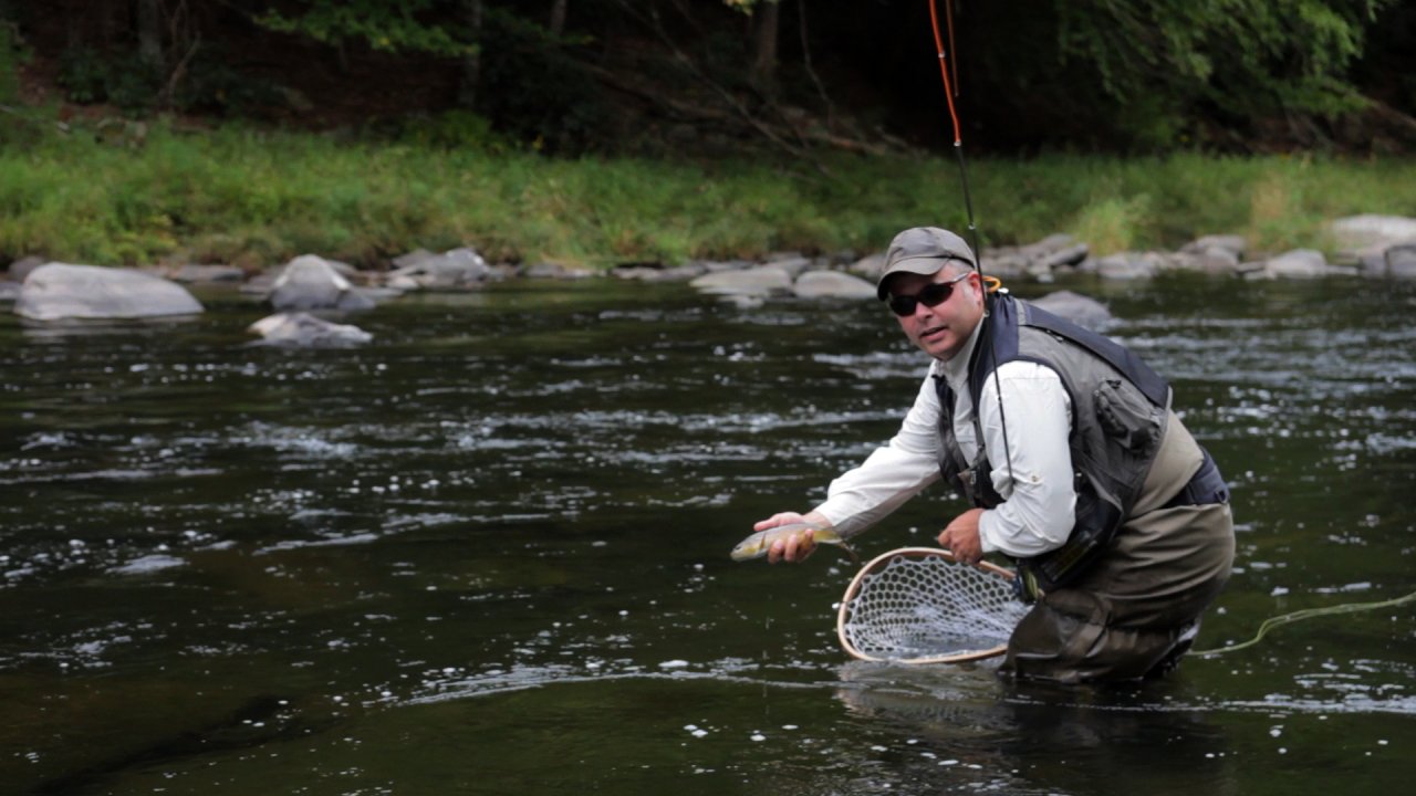 French/Spanish Style, High-Low Rod Angles; Aaron releases a wild brown while going through the need for high-low rod angles