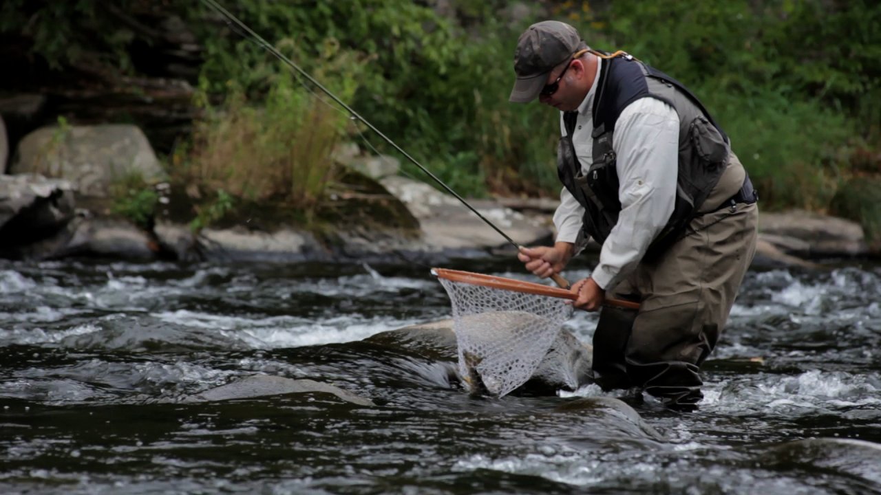 French/Spanish Style, Upstream; While teaching the upstream technique Aaron gets a wild brown to the net