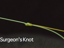 Knots; Surgeons knot