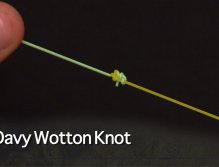 Knots; Davy Wotton knot