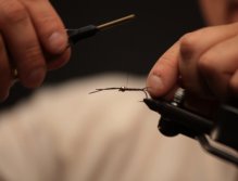 Fly Tying, Dronestone; Tying in the rubber legs