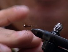 Fly Tying, Triple Threat Nymph; Whip finish the fly