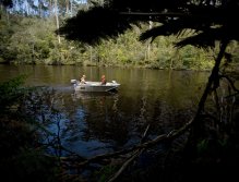 Boat sneaks through the West coast Rainforest