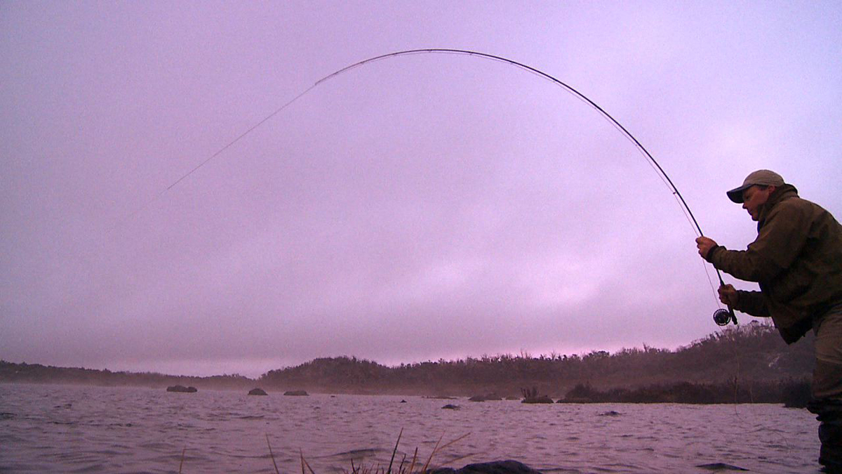 Hard into a fish into the Western Lakes