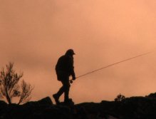 Early bird catches the worms