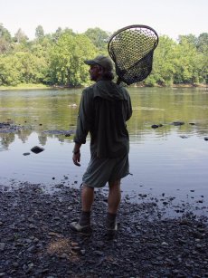 More pictures to the article