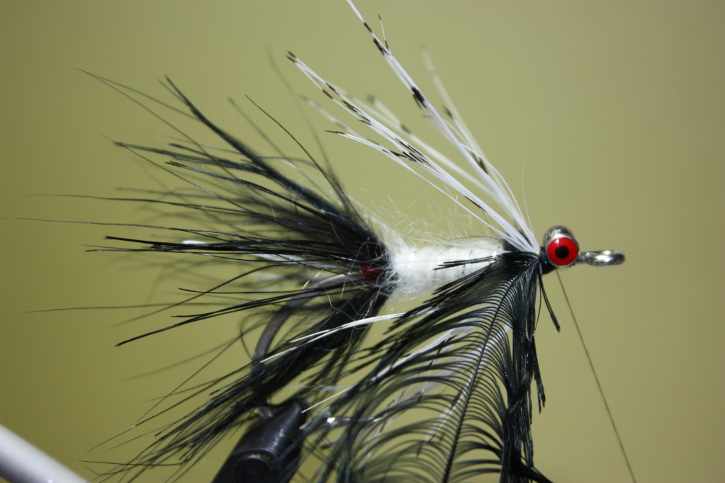 Tie in a black lady amherst feather by the tip