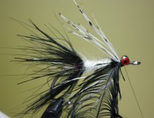 Tie in a black lady amherst feather by the tip