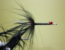 Select a black lady amherst feather. Tie in by the tip