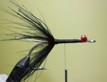 Carefully wrap the hackle making sure you don't trap any fibers