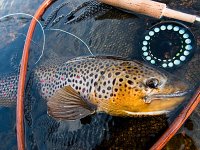 Finland Fly Fishing Mix