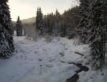 Jizera river in winter