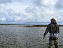 Stripping through a sand-eel shoal