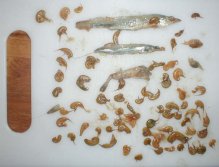 A Sea trout supper