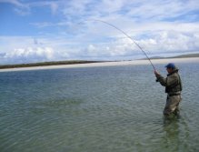 Into a large sea trout