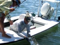 Chasing Silver: Andy's Return