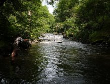 Nymphing in pocket water