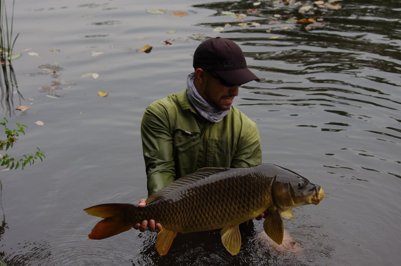 An Extended Look, Arms Straining