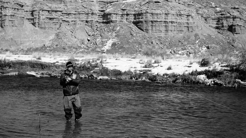 This one wanted to show Paul his backing