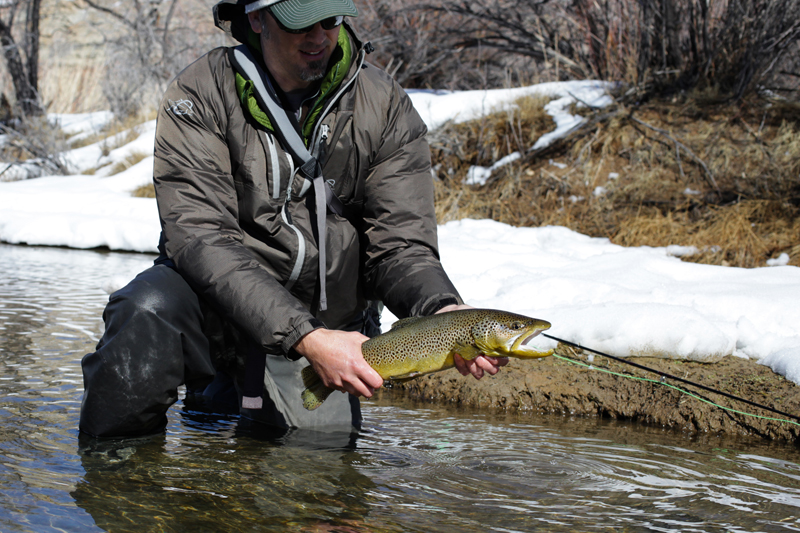 I was unable to fool him but Paul made it happen