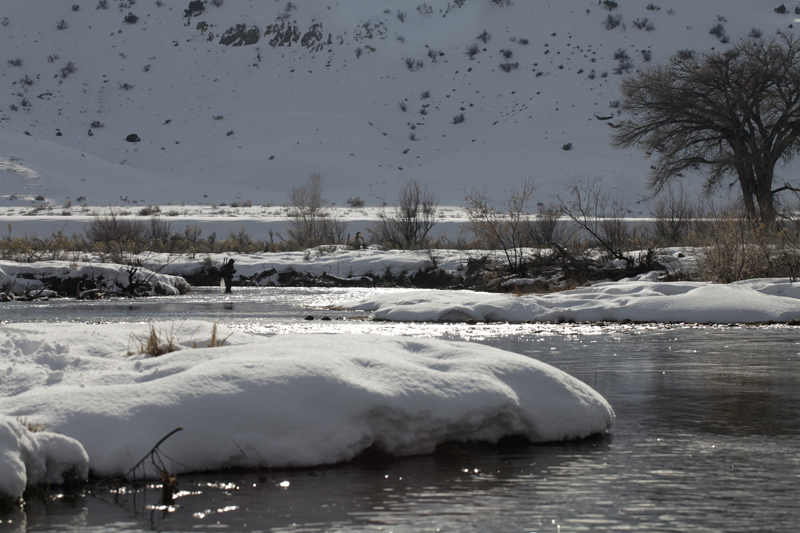 Calm cool and collected Matt works the slow water