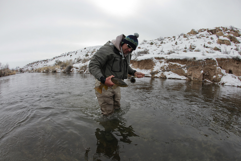 One of twelve from this run