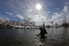 Winter Feelings-Picture gallery