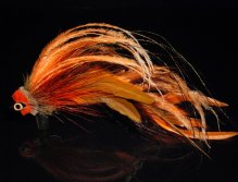 This is a combination of Orange and brown schlappen, tan & orange brown bucktail, orange  ostrich herl, extra long peacock herls and a tightly packed spun deer hair head in tan and  orange crimped together with a fishskull head for extra weight